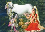 Milk Lila Poster